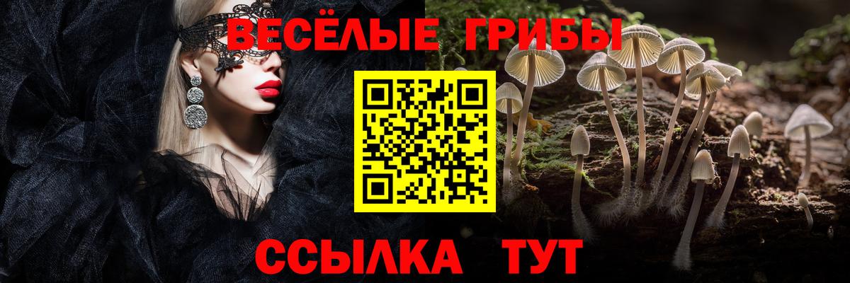 Ирбит  Псилоцибиновые грибы мицелий  Вход с VPN  Псилоцибиновые грибы ЛСД 